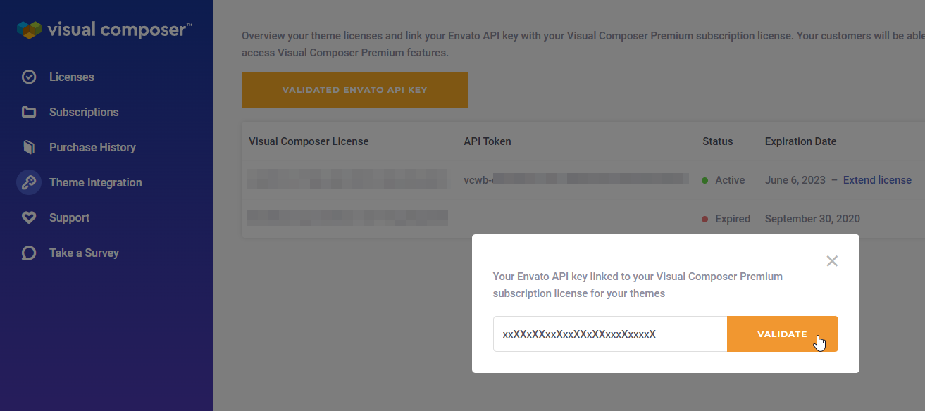 Theme Integration API key validate